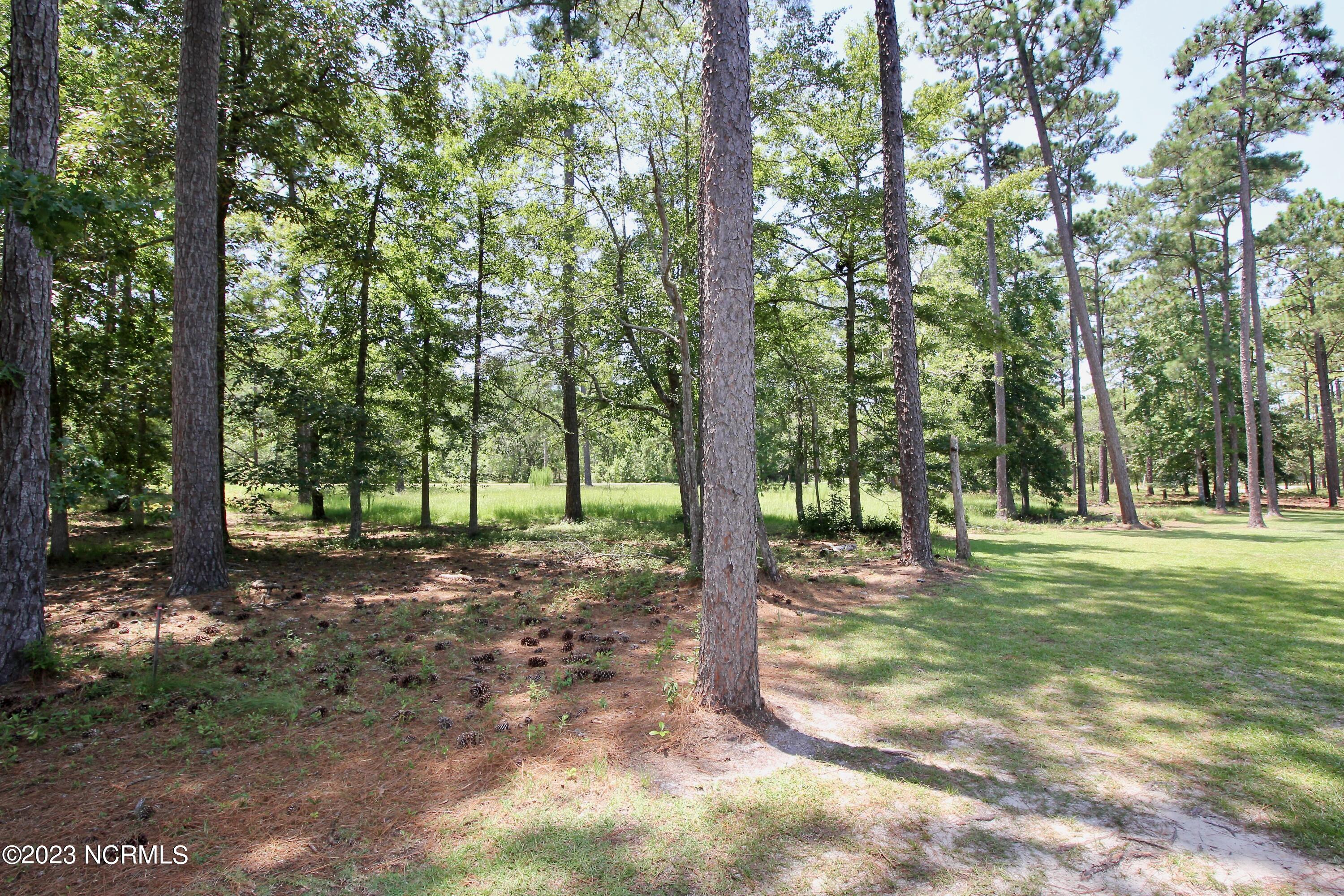 1013 Copas Road Southwest Shallotte, NC 28470 - Photo 12 of 16 Golf Side Left
