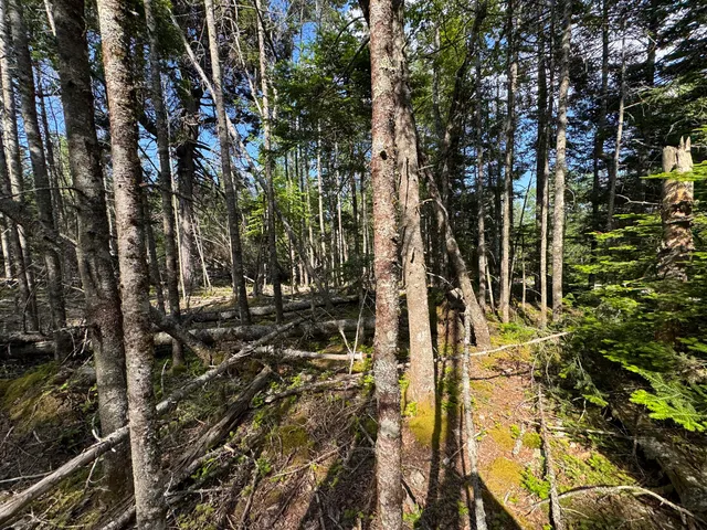 $24,999 | 6-05-0a Nepp Point Road, Roque Bluffs, ME 04654