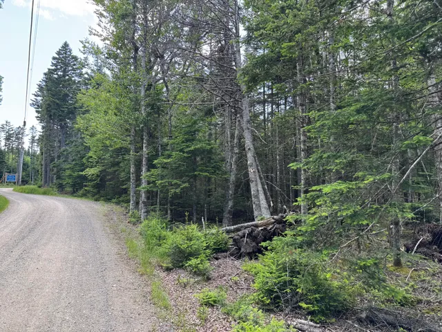 $24,999 | 6-05-0a Nepp Point Road, Roque Bluffs, ME 04654