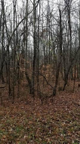 18 Cumberland Cove Road Monterey, TN 38574 - Photo 2 of 6 20181218233652058442000000-o