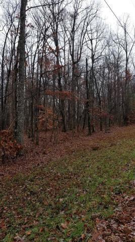 18 Cumberland Cove Road Monterey, TN 38574 - Photo 6 of 6 20181218233647246700000000-o