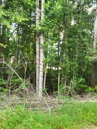 $21,900 | 905 Grand Valley Drive, Saulsbury, TN 38067