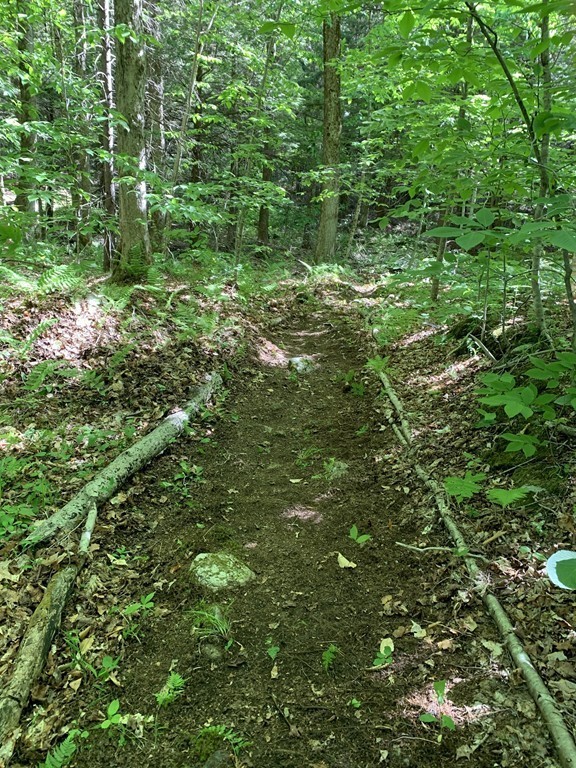 0 Watson Road Becket, MA 01223 - Photo 15 of 22 Gallery Image 15