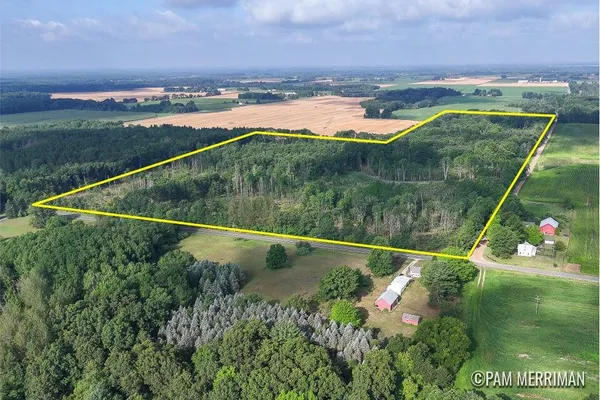 $150,000 | Parcel B Youngman Road, Trufant, MI 49347