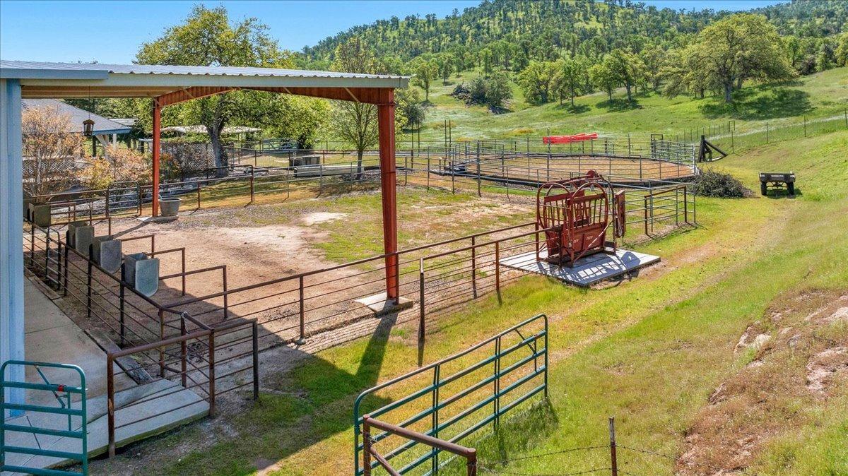 10925 Rusty Spur Lane Clovis, CA 93619 - Photo 73 of 94 Corral with livestock squeeze chute, shelter and feeders.