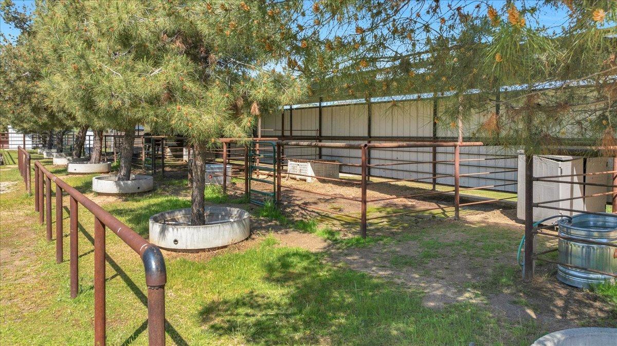 10925 Rusty Spur Lane Clovis, CA 93619 - Photo 83 of 94 a view of a backyard