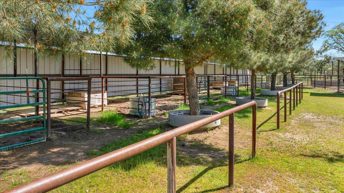 10925 Rusty Spur Lane Clovis, CA 93619 - Photo 86 of 94 Stalls with shelter near arena.