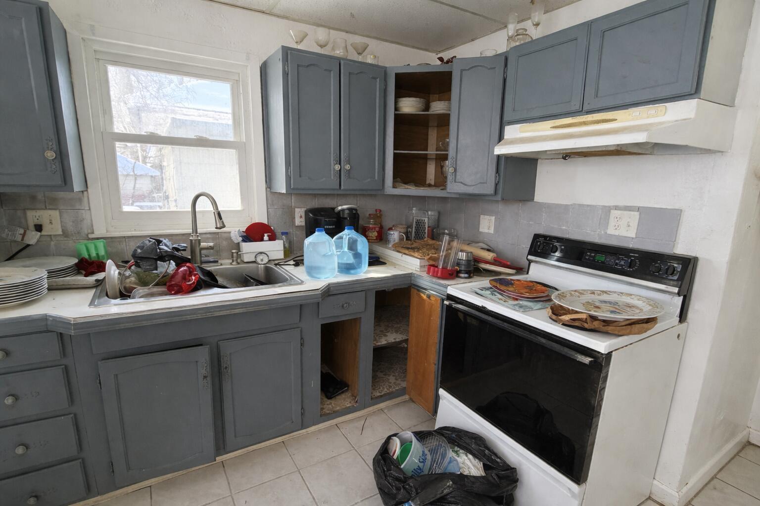 508 Constantine Street Three Rivers, MI 49093 - Photo 6 of 11 6