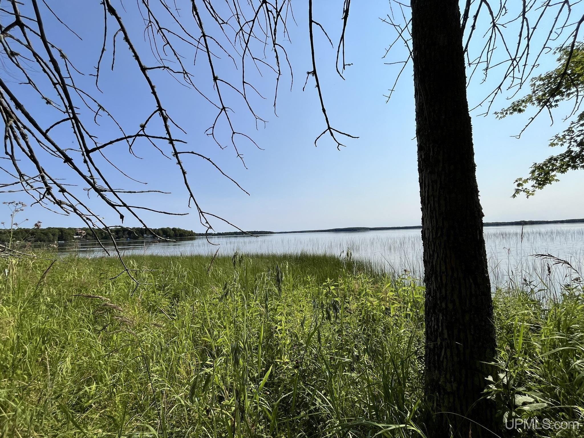 Tbd Neazor Point Road South Germfask, MI 49836 - Photo 6 of 27 Gallery Image 6