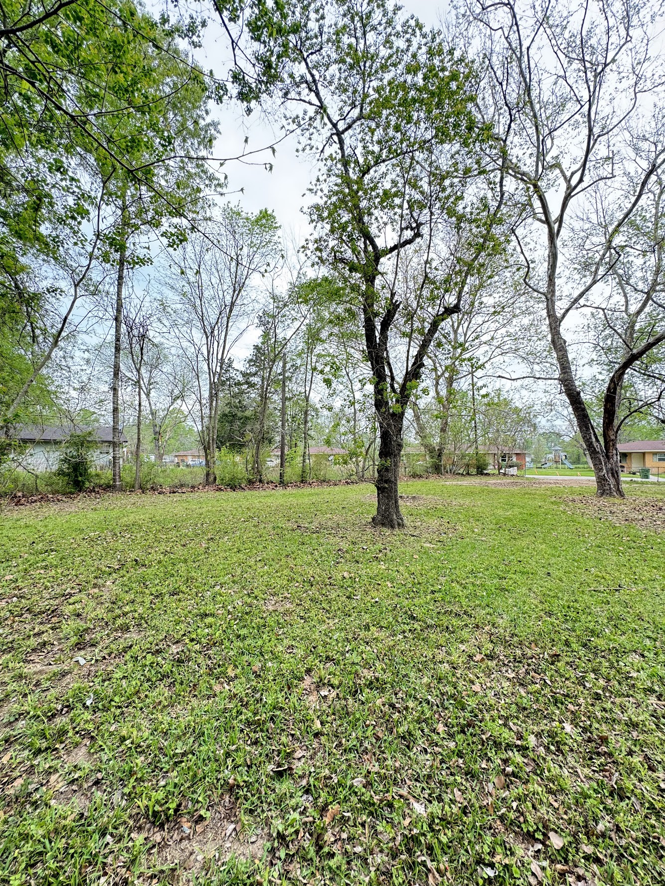 916 Lamar Street Cleveland, TX 77327 - Photo 5 of 18 a view of garden with trees