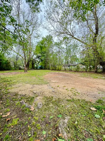 a view of a trees with a yard