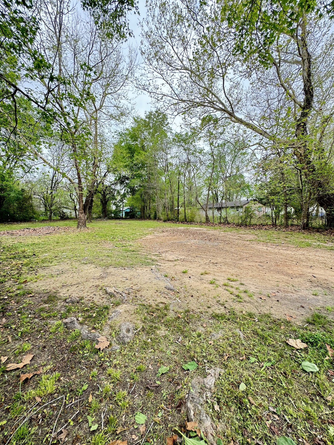 916 Lamar Street Cleveland, TX 77327 - Photo 8 of 18 a view of a trees with a yard