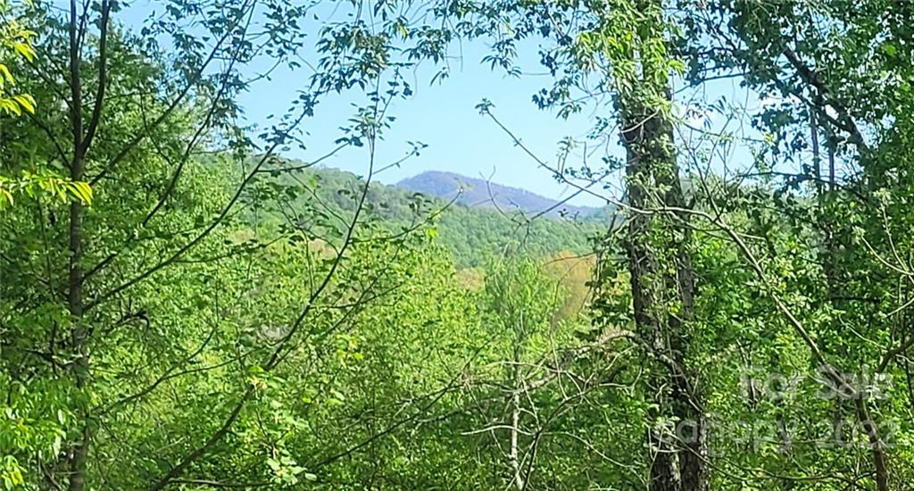 6 South Morgan Branch Road Candler, NC 28715 - Photo 30 of 30 Gallery Image 30
