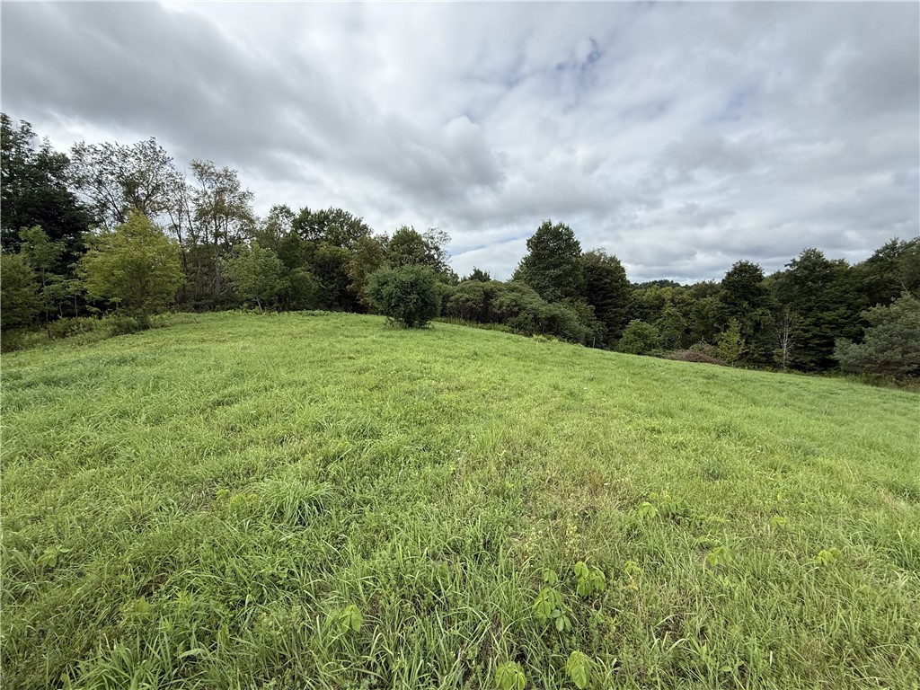 518 Hamilton Valley Road Tioga, NY 14883 - Photo 35 of 44 Gallery Image 35