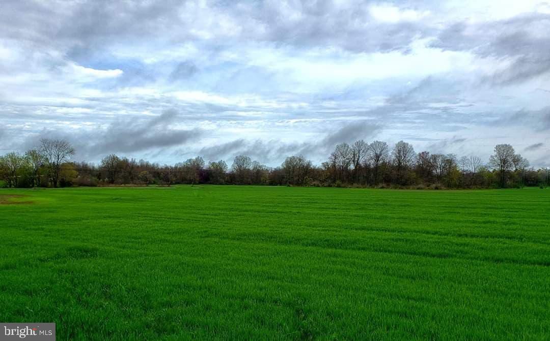 2 New Bridge Road, Unit A3 Quinton, NJ 08079 - Photo 2 of 15