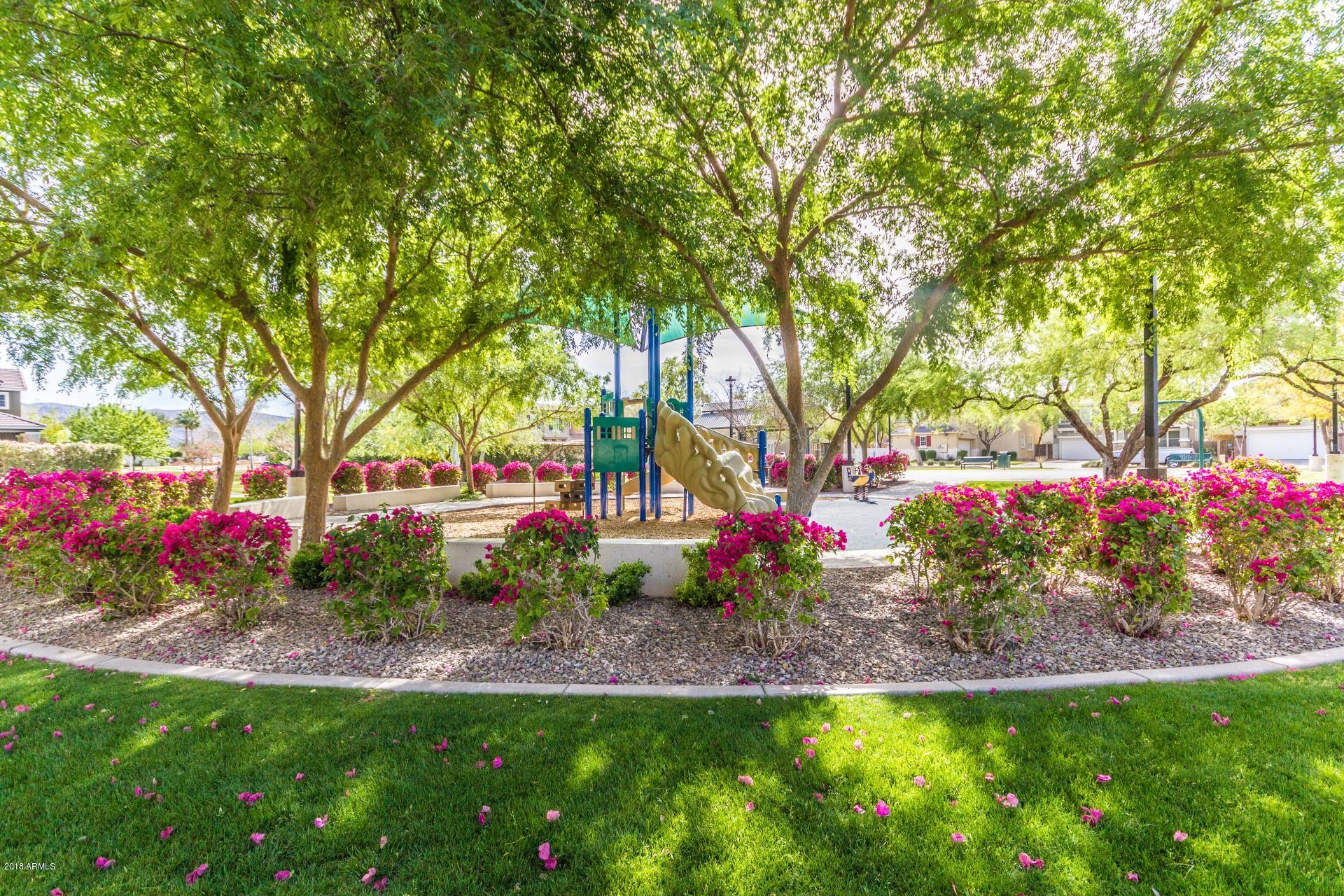 2323 East Sunland Avenue Phoenix, AZ 85040 - Photo 28 of 35 Sunland - Copper Leaf COMMUNITY SHOTS (5
