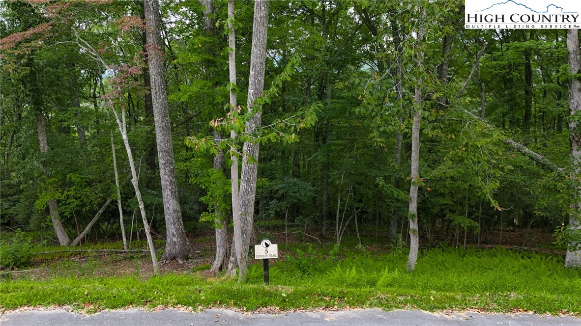 Lot T5 Coyote Trail Boone, NC 28607 - Photo 3 of 13