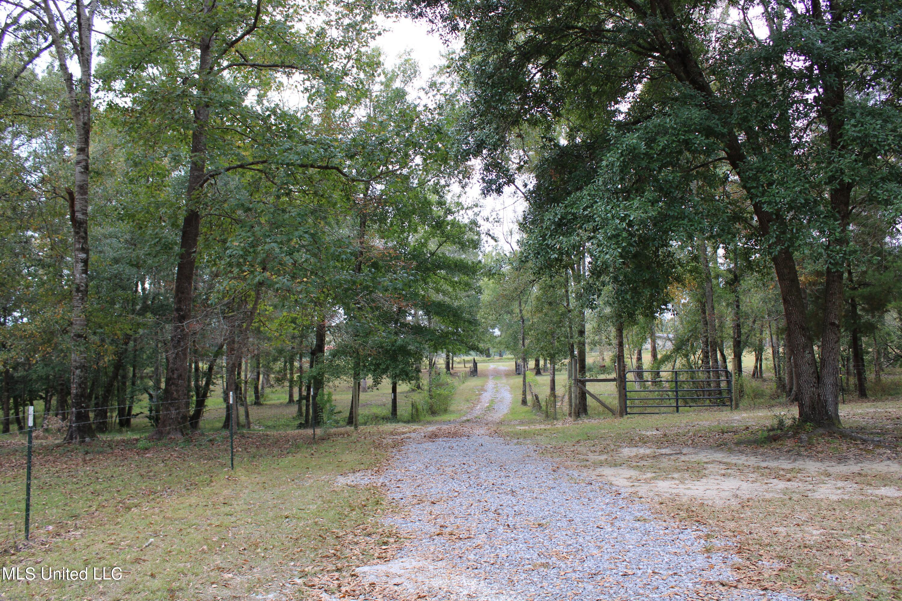 20316 Kates Road Vancleave, MS 39565 - Photo 3 of 15 IMG_0164