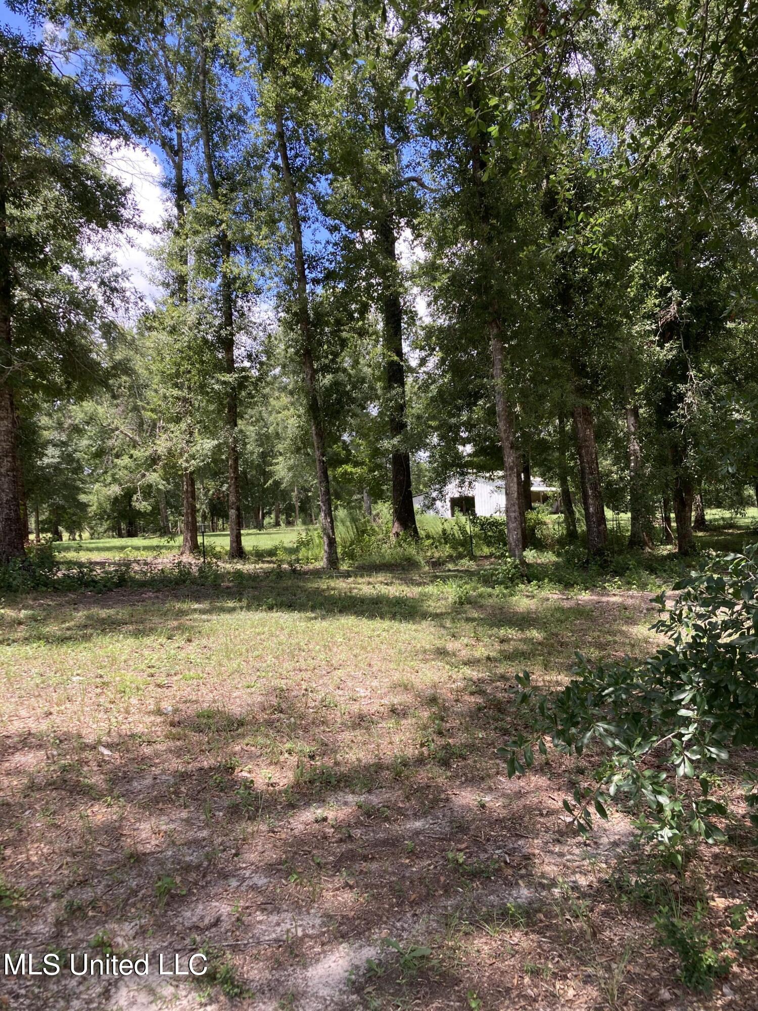 20316 Kates Road Vancleave, MS 39565 - Photo 5 of 15 20316 Kates Road 3