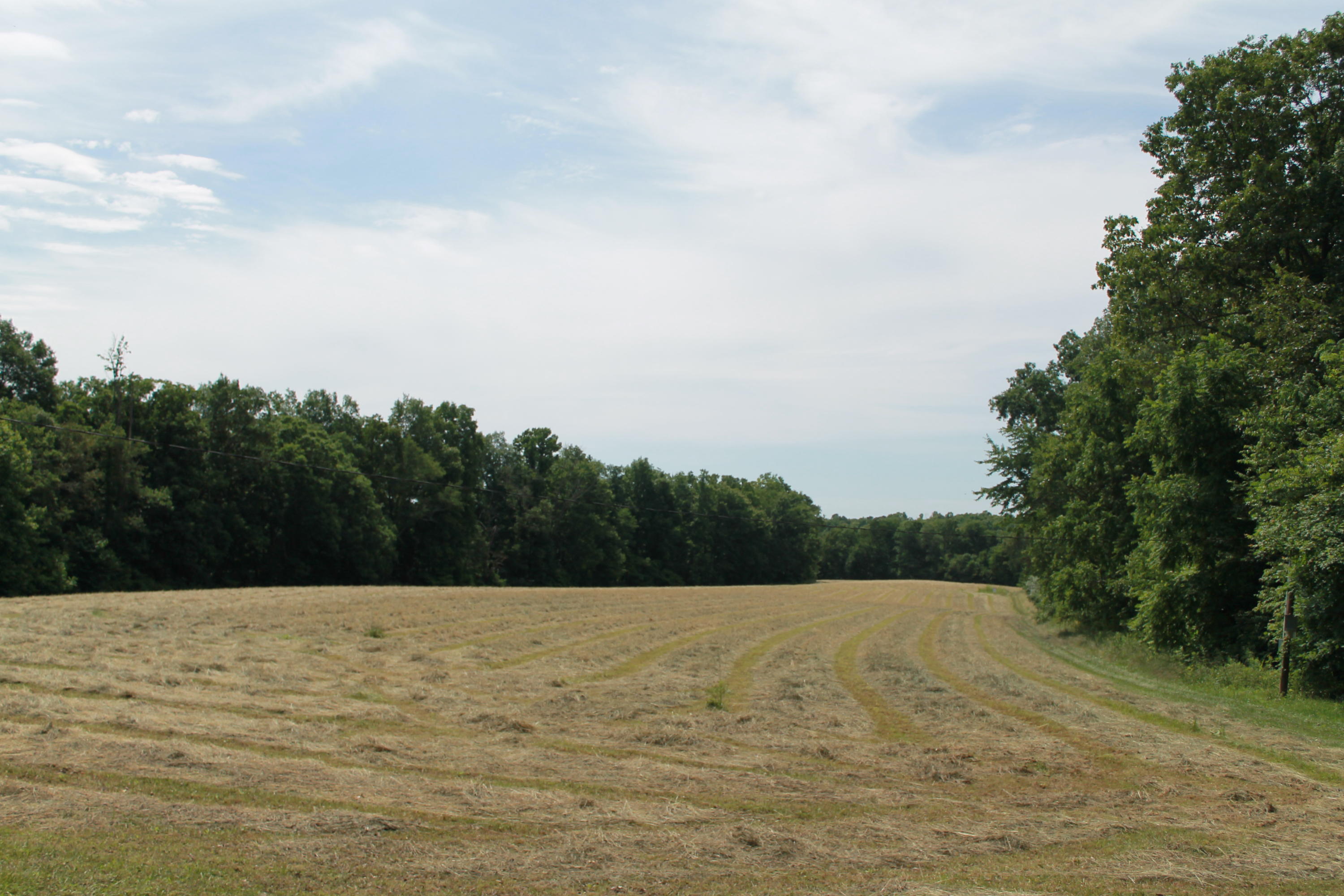 Junior Cox Road Road Deer Lodge, TN 37726 - Photo 1 of 11 IMG_5869