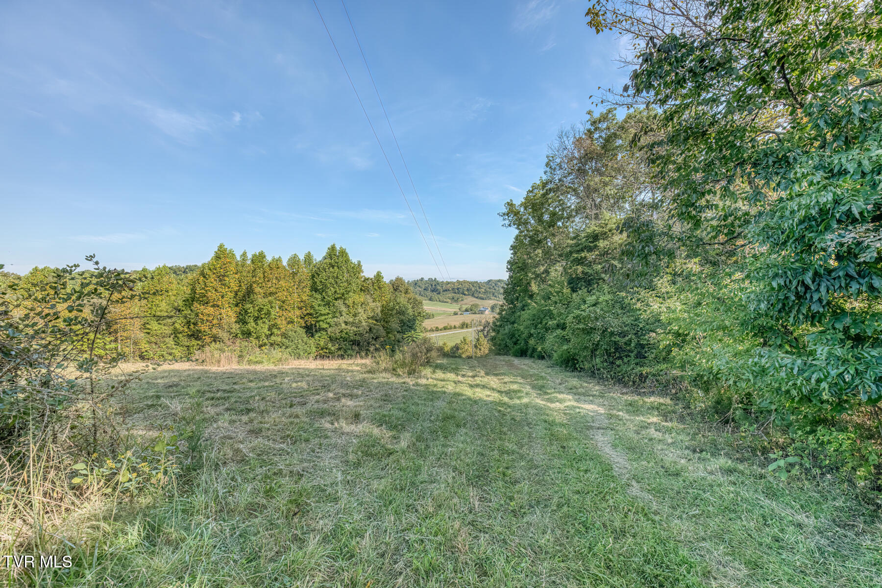 1680 Old Milburnton Road Limestone, TN 37681 - Photo 43 of 62 1680 Old Milburnton Rd-46