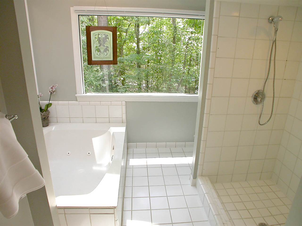 2909 Tutman Court Raleigh, NC 27614 - Photo 13 of 22 Master Bath/Spa