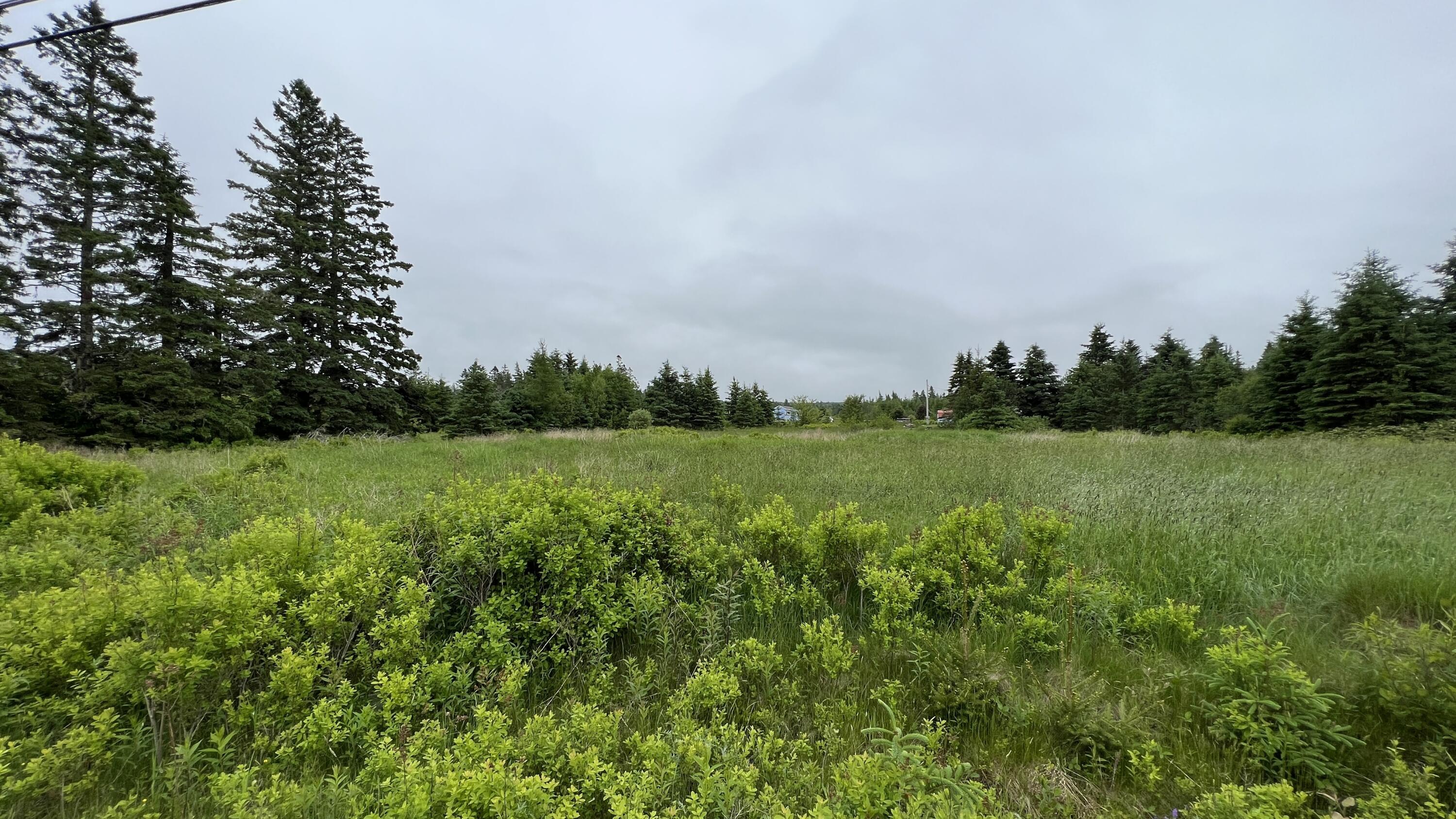 M4-l9 Dixie Road Lubec, ME 04652 - Photo 2 of 4 0895F82E-CE68-42FB-9B0B-900609DE6F4A