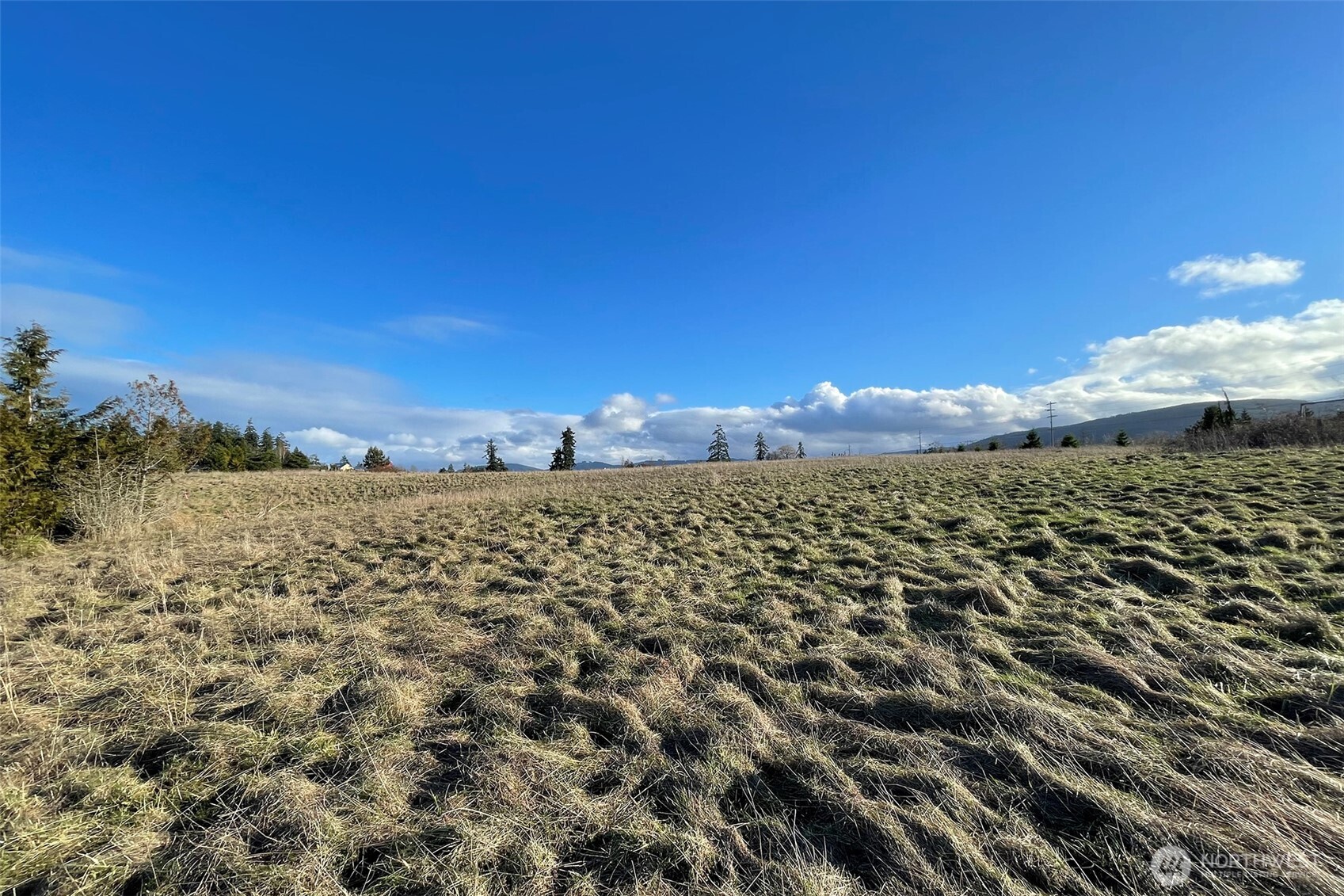 -nka Washington Harbor Loop Sequim, WA 98382 - Photo 14 of 16