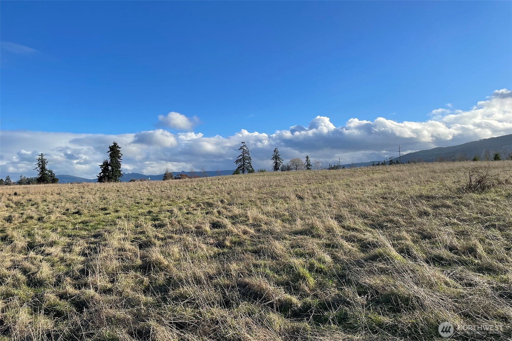 -nka Washington Harbor Loop Sequim, WA 98382 - Photo 7 of 16