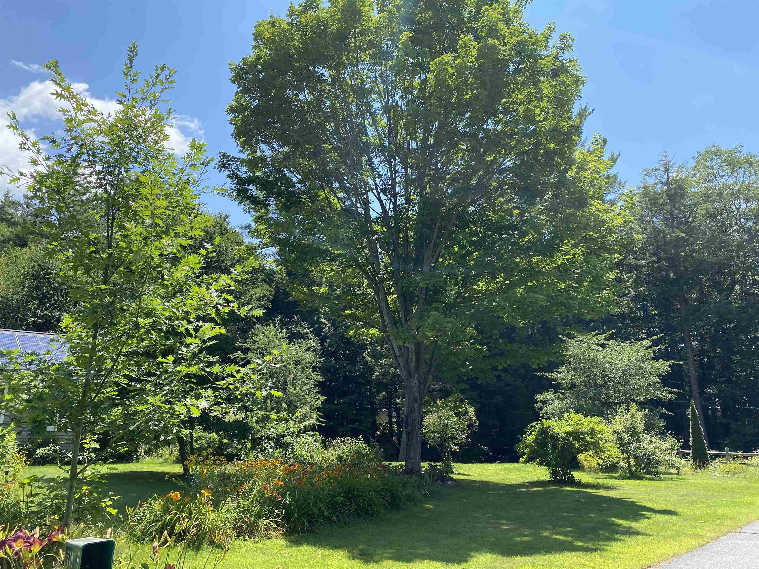 218 Riley Drive Windsor, VT 05089 - Photo 26 of 28
