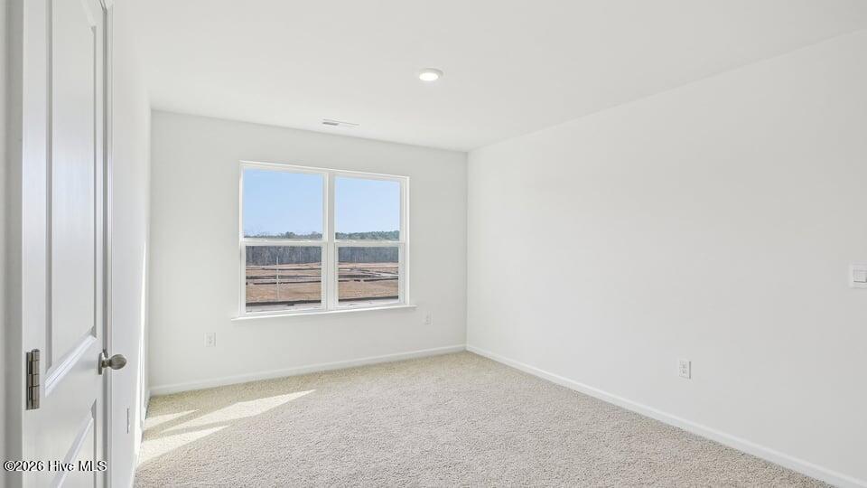 205 Rashford Way Raeford, NC 28376 - Photo 19 of 36