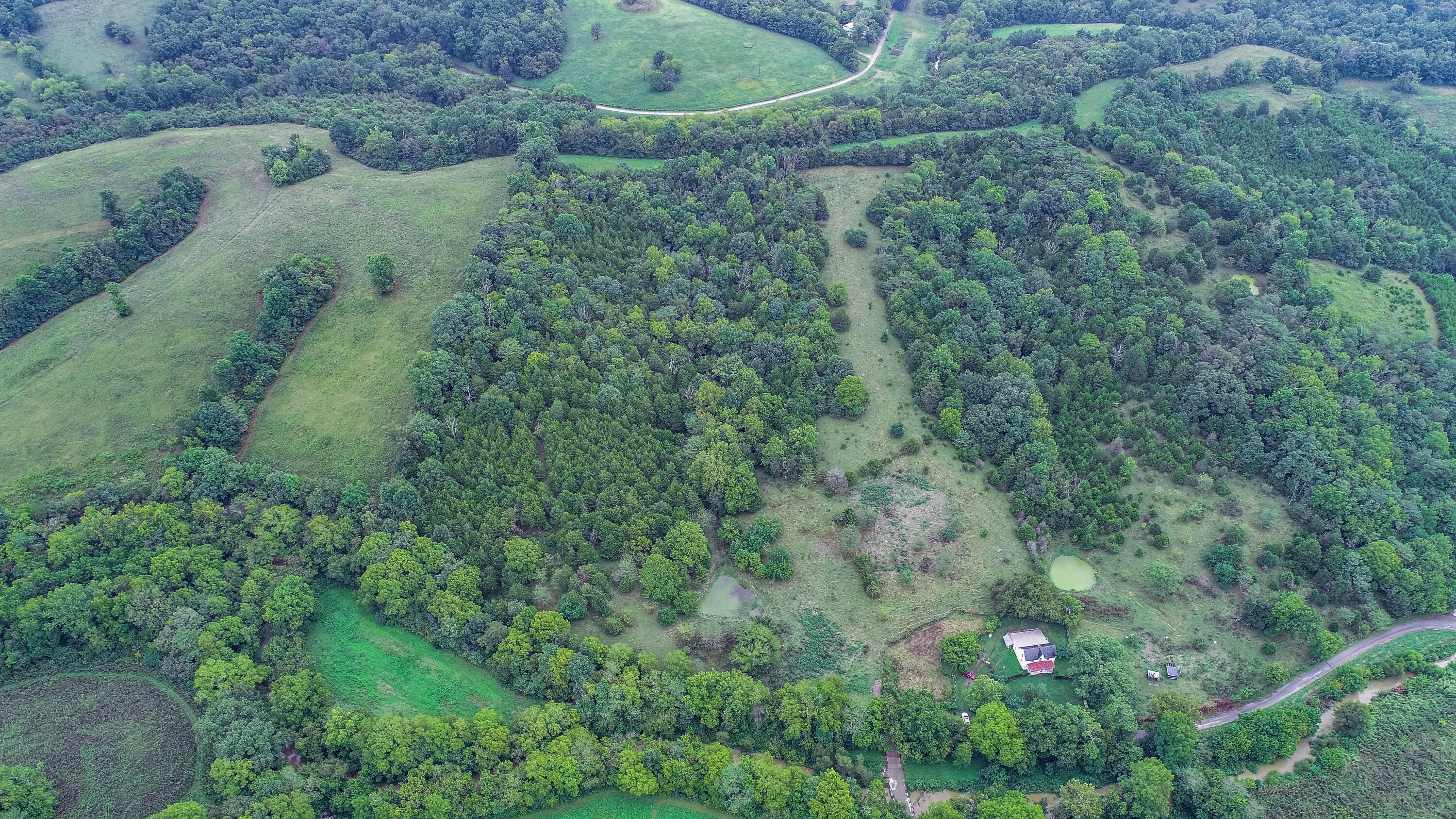 1 Bobtown Road Cynthiana, KY 41031 - Photo 2 of 7 DJI_0019