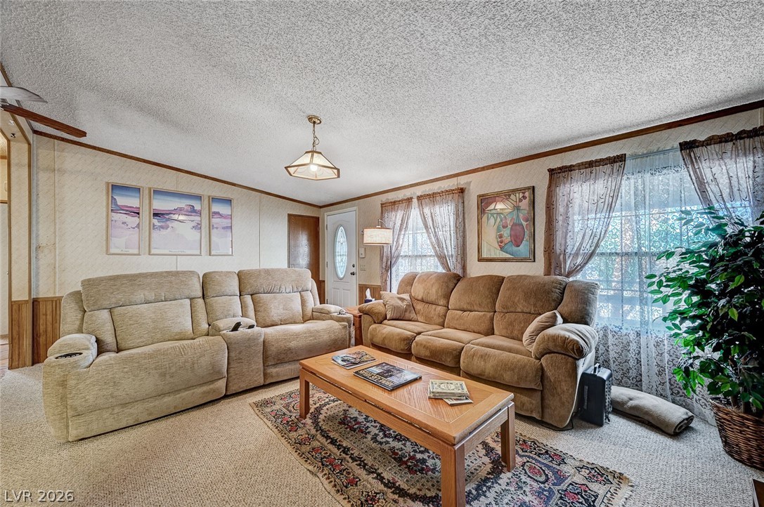 263 Trailzend Avenue Overton, NV 89040 - Photo 10 of 55