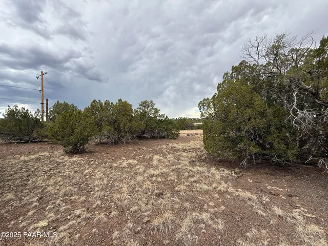$17,400 | 8319 Lakeside Drive, Show Low, AZ 85901