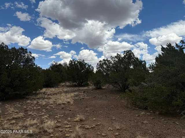 $17,400 | 8319 Lakeside Drive, Show Low, AZ 85901