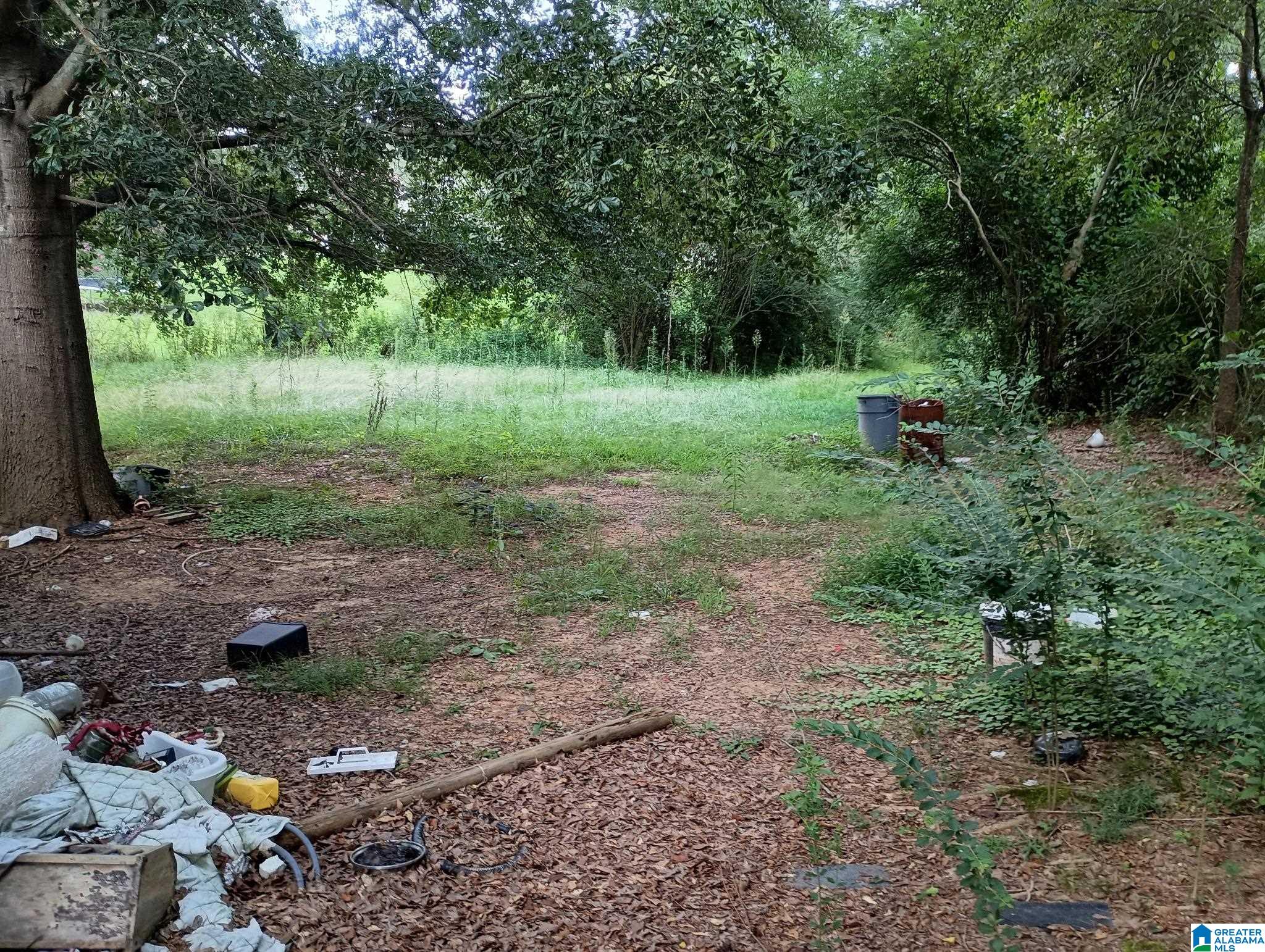 37308 Highway 79 Cleveland, AL 35049 - Photo 14 of 15