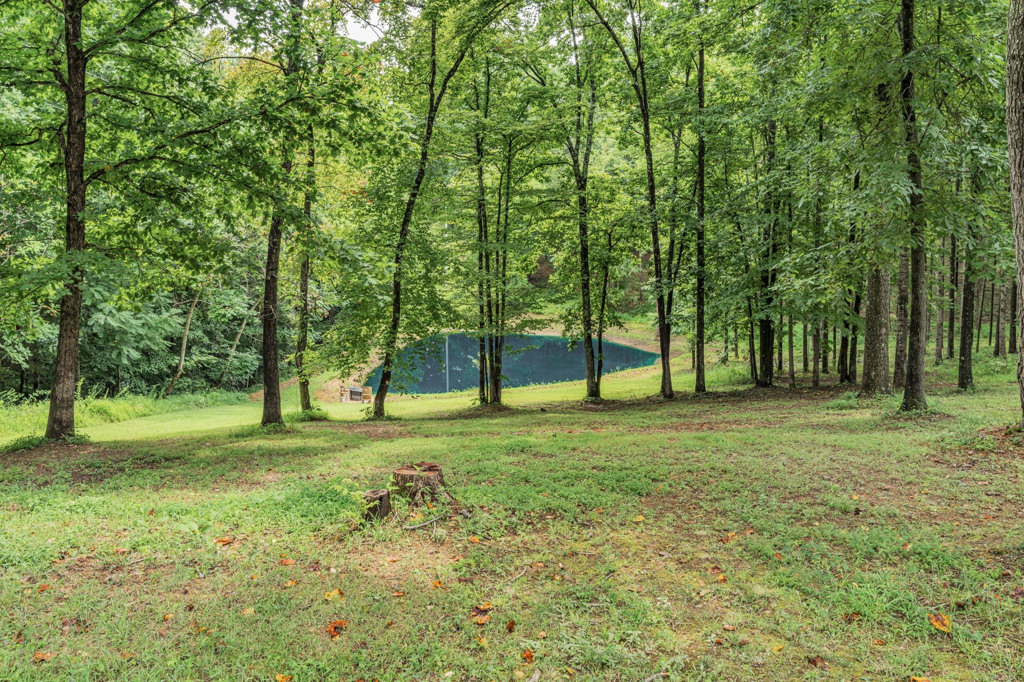 631 Hog Back Ridge Road Bethpage, TN 37022 - Photo 23 of 52 Gallery Image 23