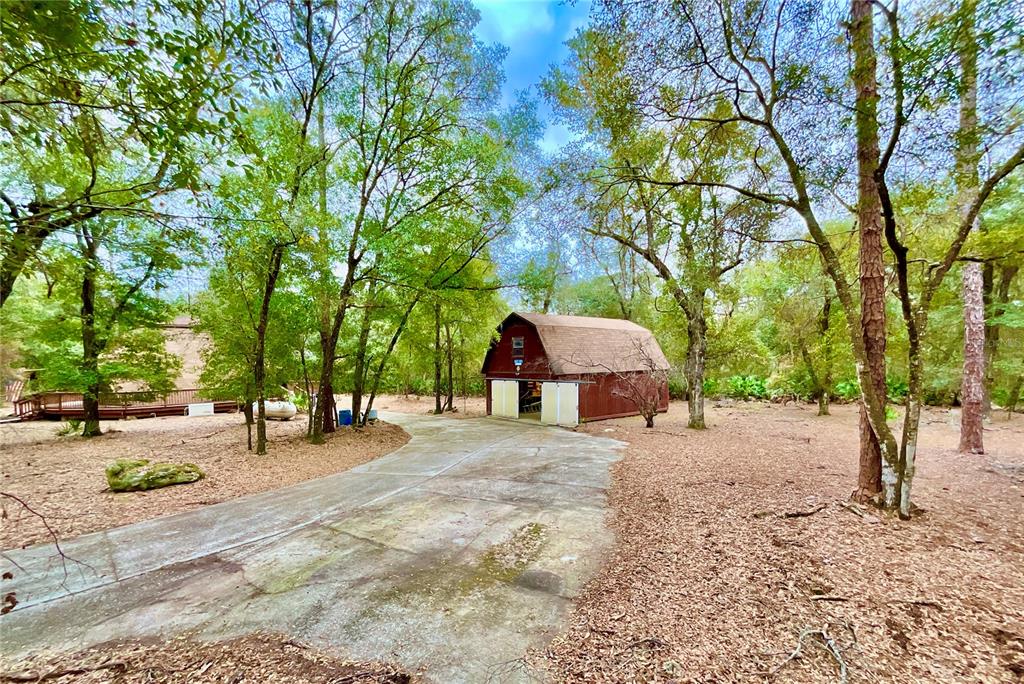 141 Tucker Lake Road Melrose, FL 32666 - Photo 19 of 29 a view of a dirt road and trees