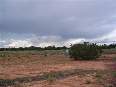 288 Walnut Road Valle, AZ 86046 - Photo 11 of 12 Additional Photo