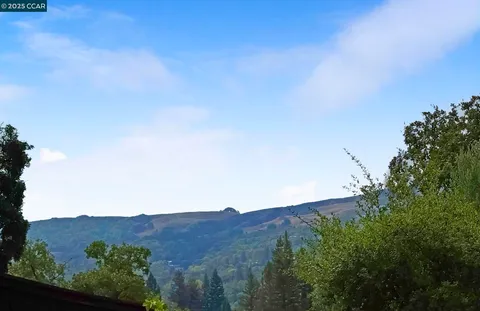 a view of a mountain in the distance in a field