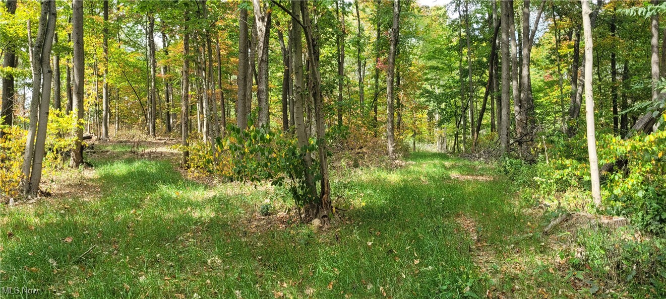 343 County Road Coshocton, OH 43812 - Photo 12 of 49 Gallery Image 12