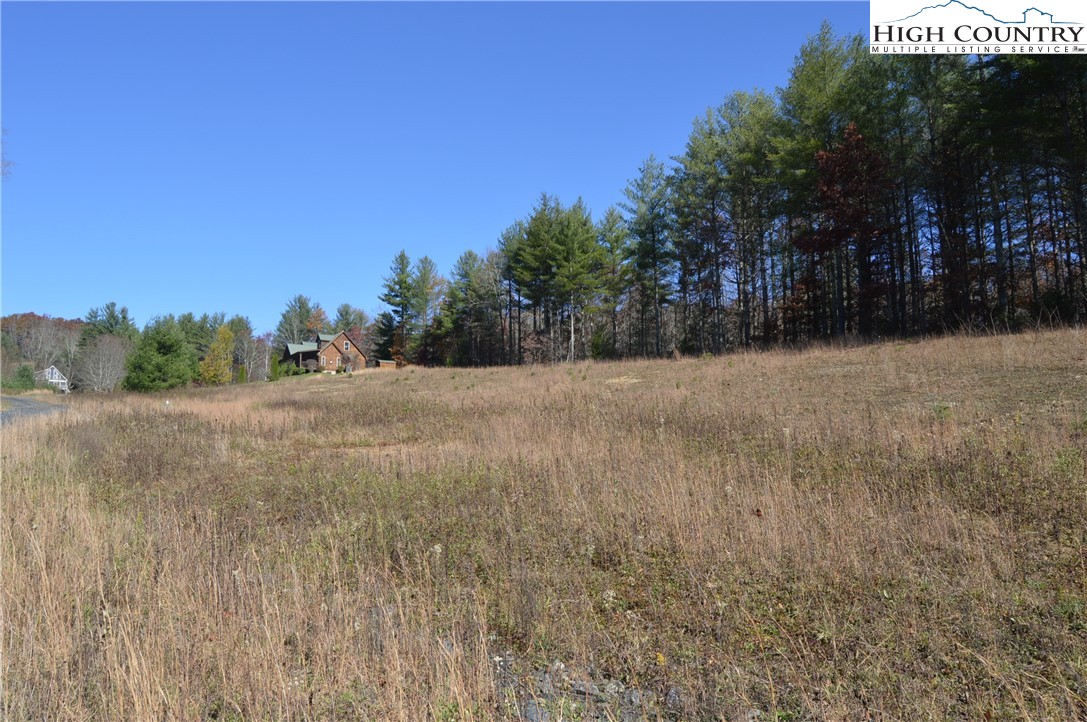 Savannah Ridge Road Fleetwood, NC 28626 - Photo 5 of 20 a view of dirt field with trees in background