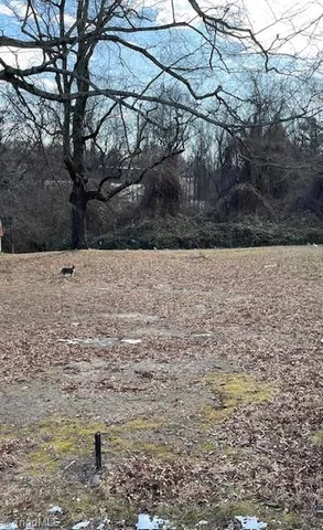 $37,500 | 1307 Potts Avenue, High Point, NC 27260