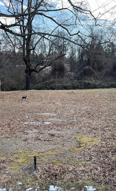 1307 Potts Avenue High Point, NC 27260 - Photo 2 of 4