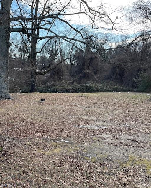 1307 Potts Avenue High Point, NC 27260 - Photo 3 of 4