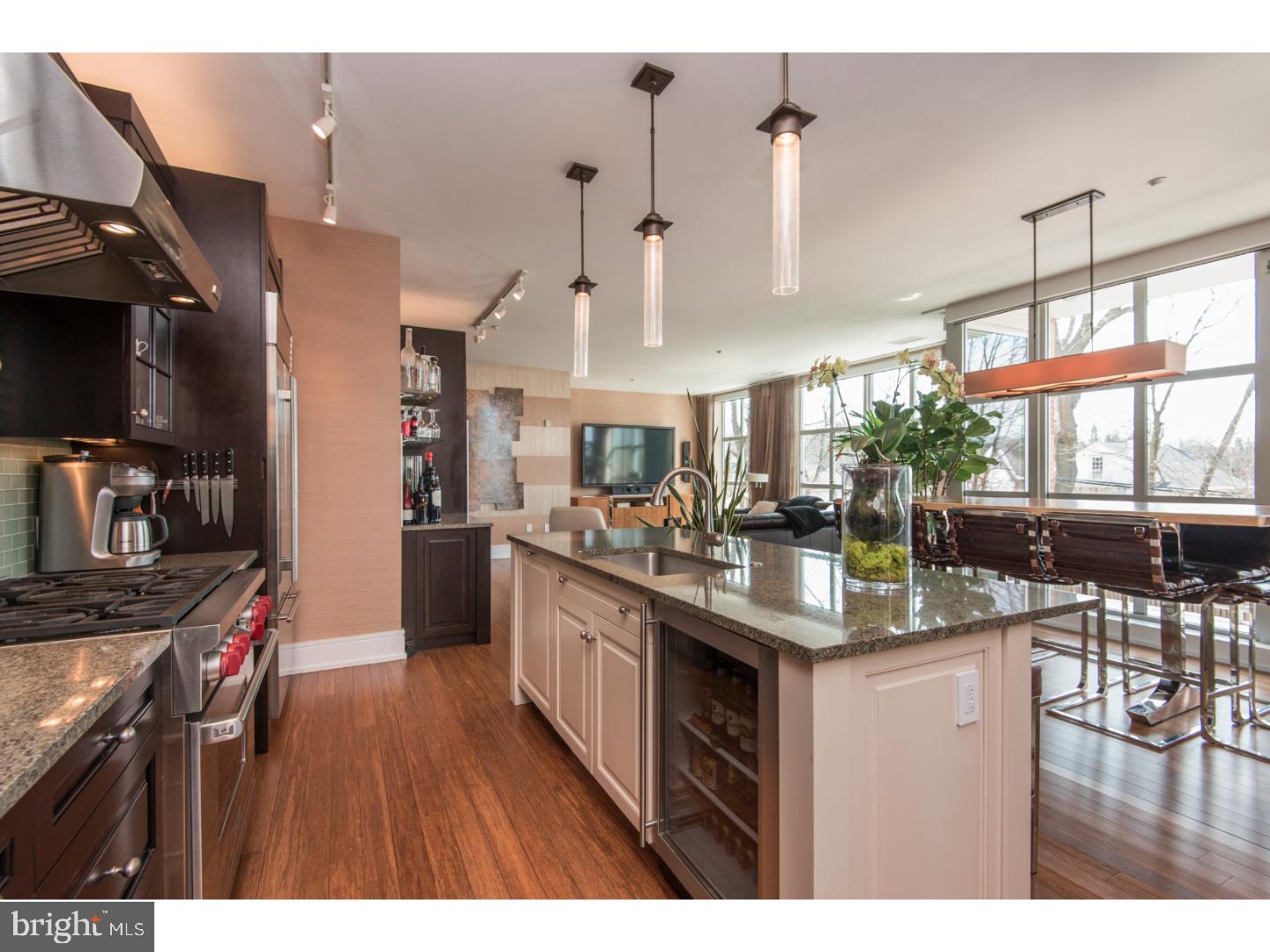 211 Iron Works Way Wayne, PA 19087 - Photo 12 of 22 Gallery Image 12
