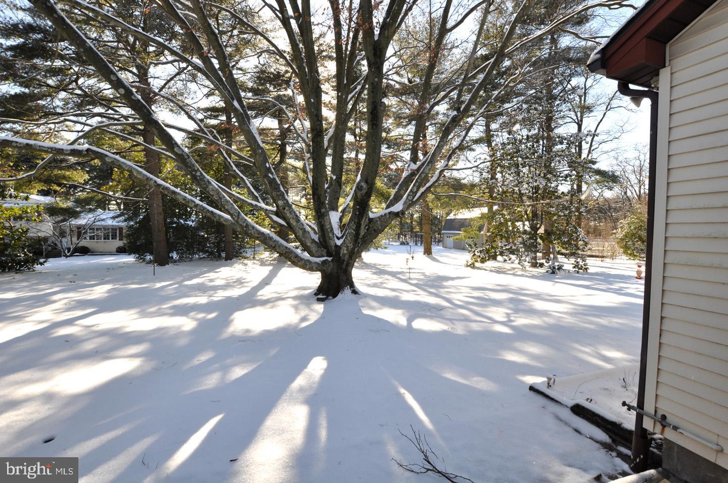 4312 Church Road Mount Laurel, NJ 08054 - Photo 20 of 21 Lovely backyard w/mature trees