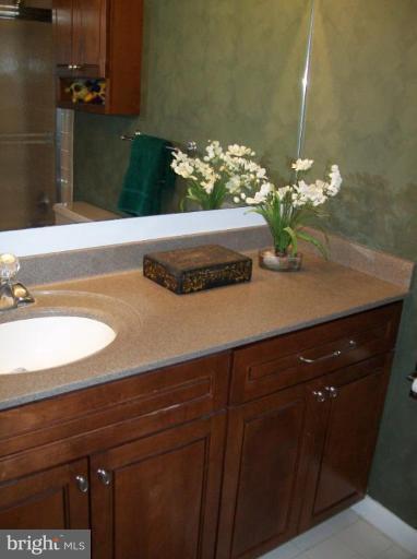 1569 Inlet Court Reston, VA 20190 - Photo 11 of 25 Master Bath