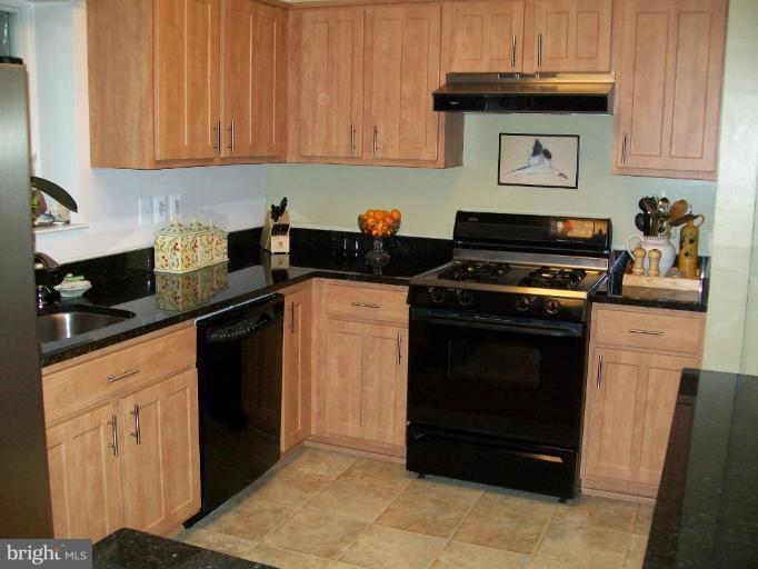 1569 Inlet Court Reston, VA 20190 - Photo 25 of 25 Kitchen #3