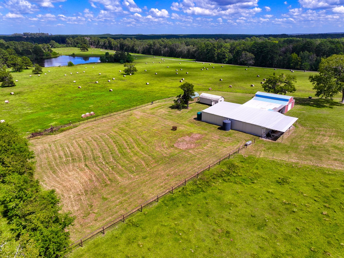 567 Tamie Lowe Road Moscow, TX 75960 - Photo 15 of 50 Gallery Image 15